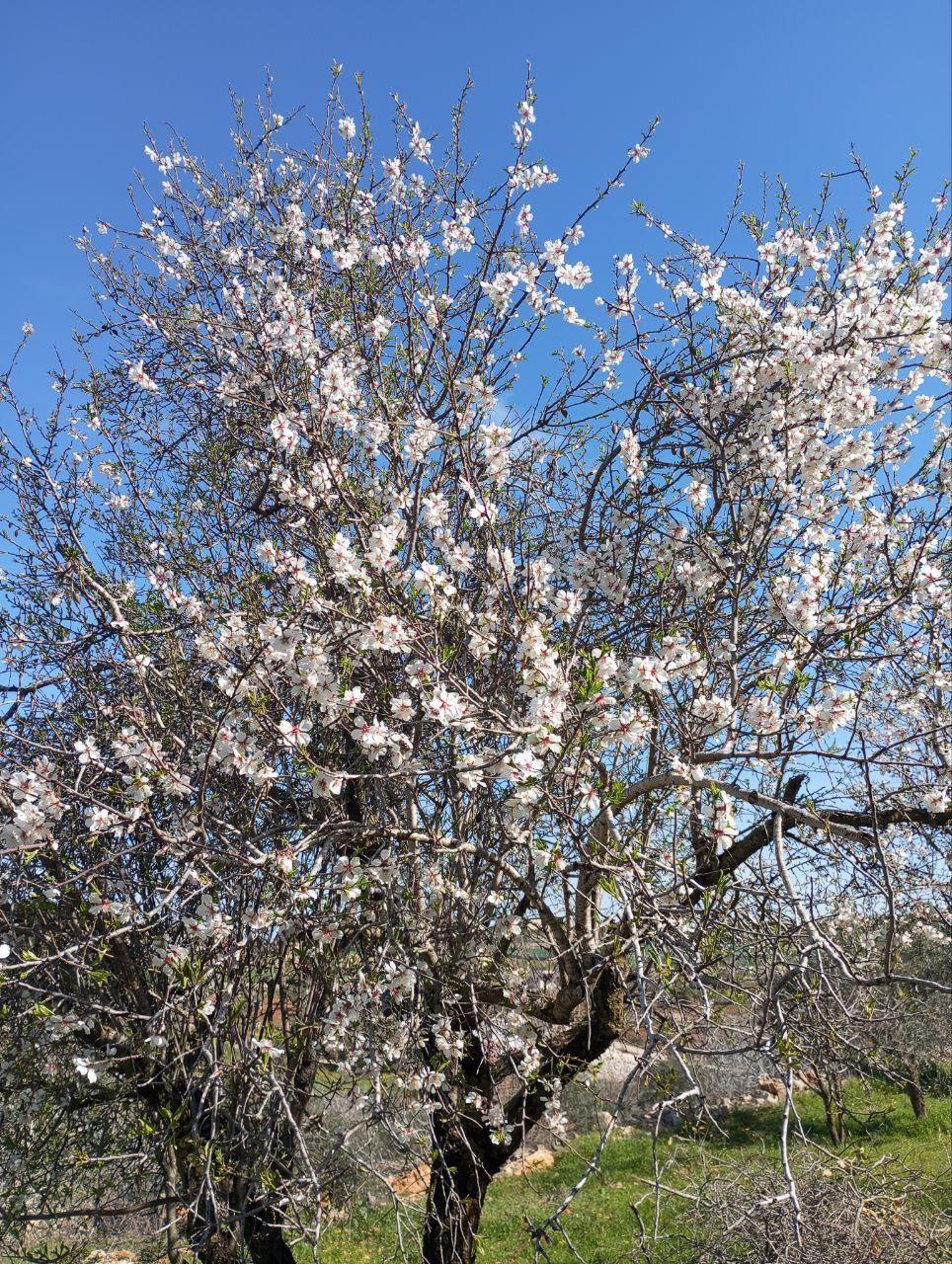 تلفريك عجلون مسار الجُـــب السفلي